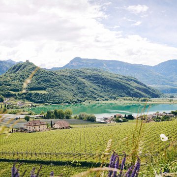 Gudruns Blog: alles über Sterzing, übers Wandern, über Tirol Blick auf Weinberge, See und Berge unter bewölktem Himmel