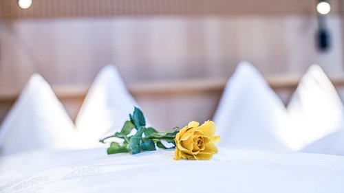 Hiking in Sterzing and the surrounding area Yellow rose lying on white bed with white pillows in the background