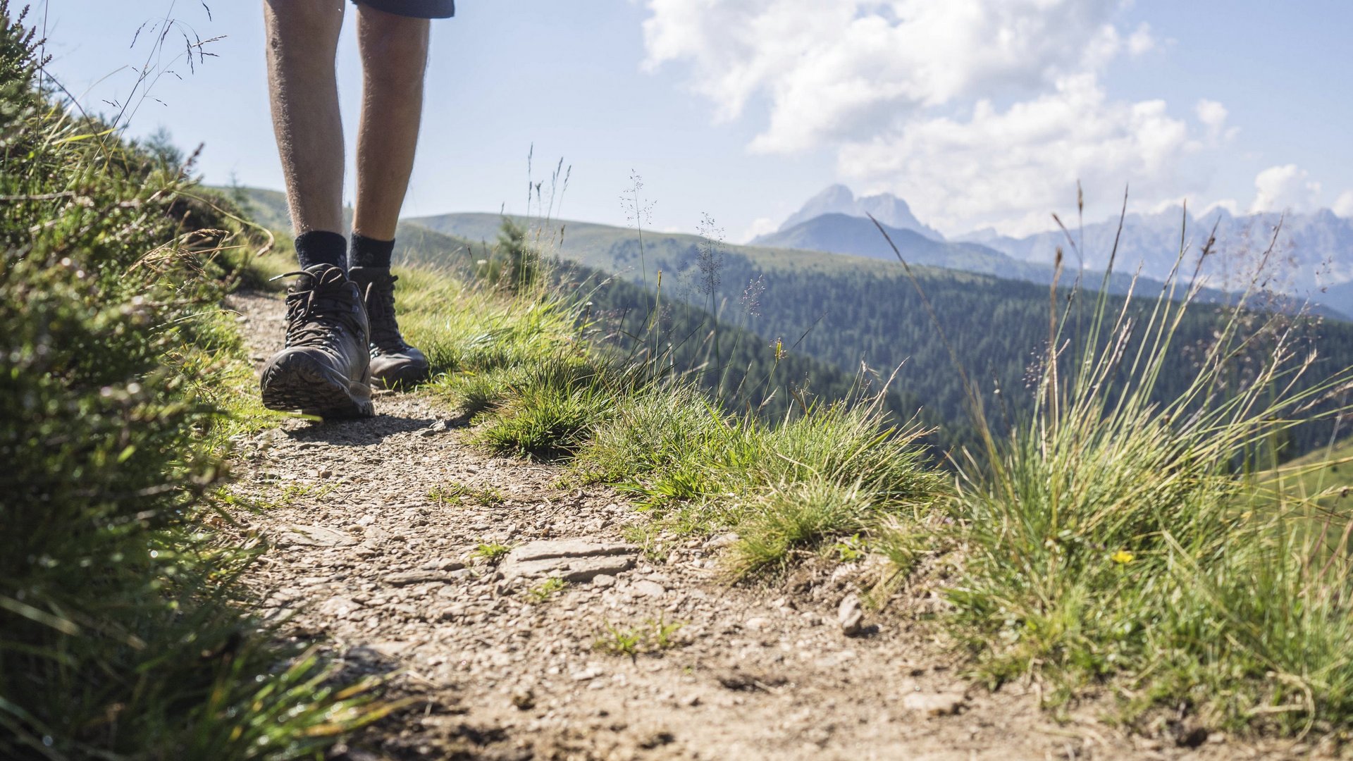 Hiking in Sterzing and the surrounding area Hiker walking on narrow mountain trail with green landscape and mountains in the background