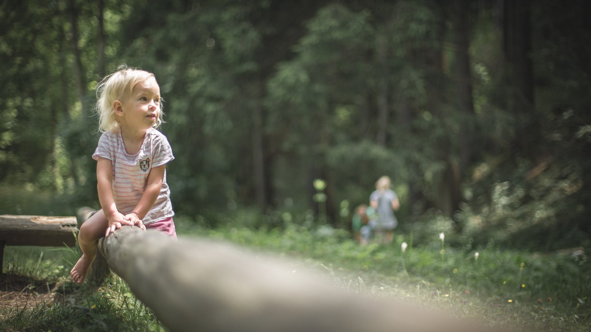 Hiking in Sterzing and the surrounding area Small child sitting on a log in the forest
