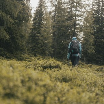 Gudrun in Gossensass: Hotel mit Herz Wanderer mit Rucksack wandert durch einen bewaldeten Bereich